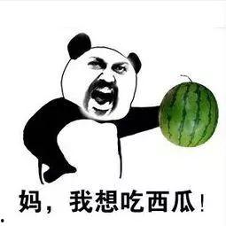 吃瓜全文完结,揭秘幕后真相，尘埃落定！