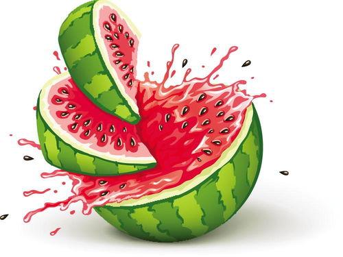 朝阳吃瓜小朋友,揭秘校园里的甜蜜“吃瓜”生活