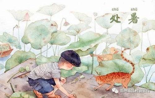 处暑吃瓜视频,一起探索传统美食与视频的奇妙融合