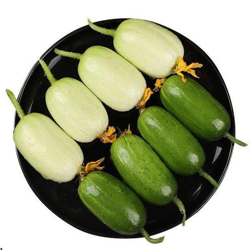 小毛瓜怎么吃美食声控,小毛瓜的独特风味解析