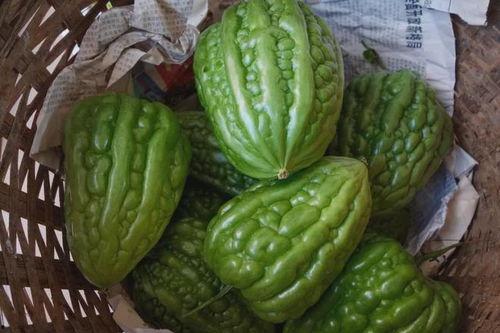 吃瓜江门,探寻这座美食天堂的独特风味