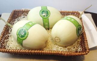 小猫可以吃白玉瓜吗,白玉瓜是否适合小猫食用？